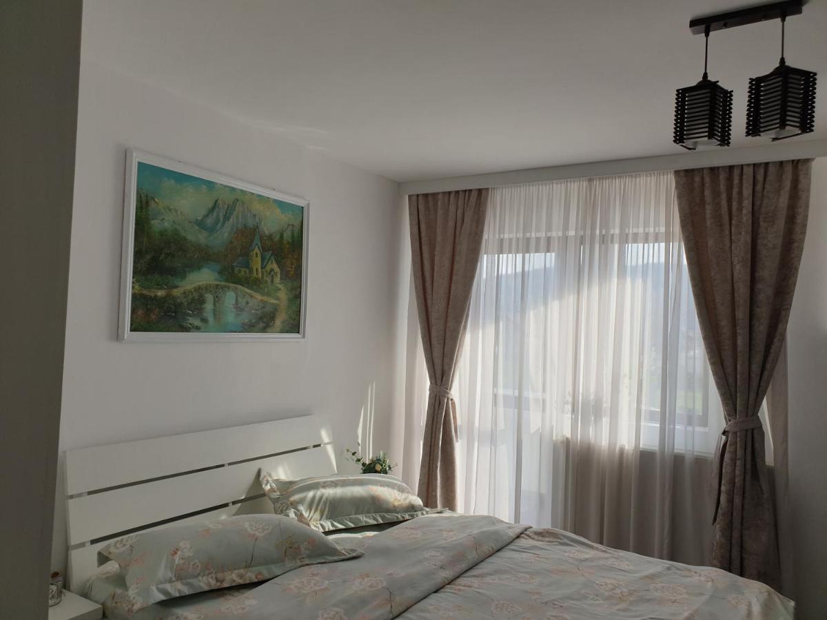 Casa Tomsa Bed and Breakfast Rozavlea Buitenkant foto